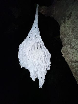 ЛЕНЬ